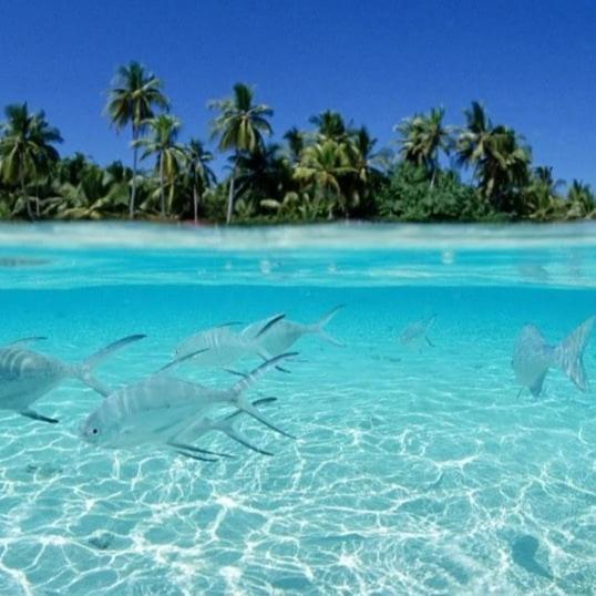 Ocean Breeze Maldives Hotel Thulusdhoo Esterno foto
