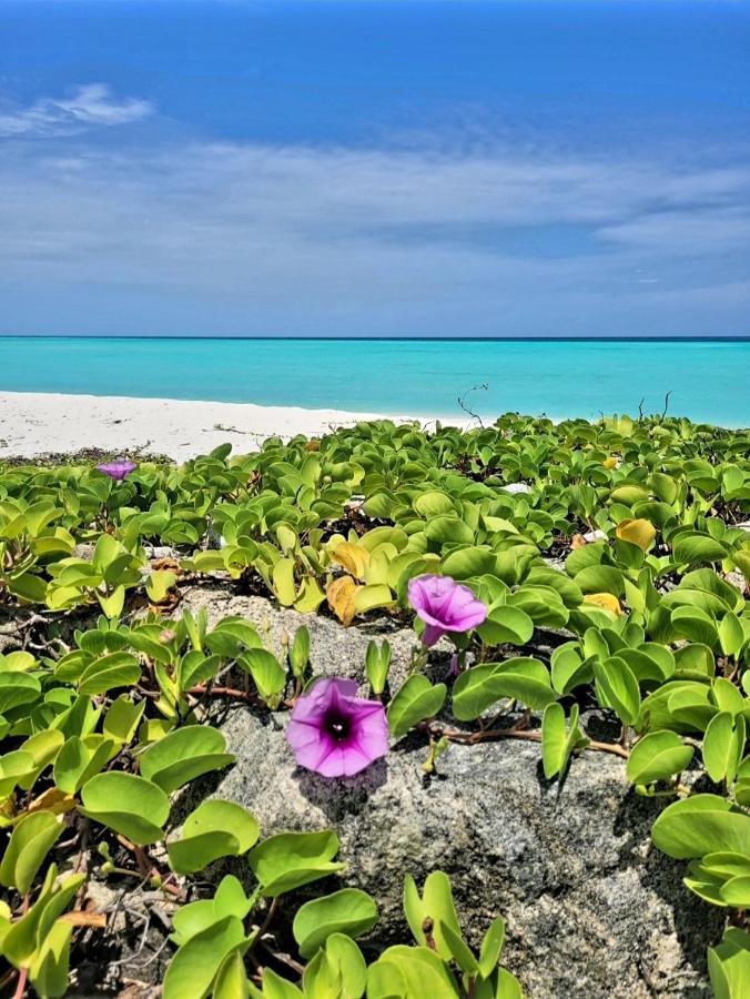 Ocean Breeze Maldives Hotel Thulusdhoo Esterno foto
